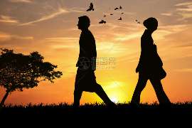 对象送猫分手了怎么挽回?教你有效策略重燃爱火 对象送猫分手了怎么挽回?教你有效策略重燃爱火